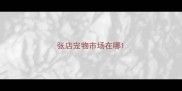 张店宠物市场在哪