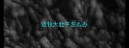 边牧大肚子怎么办