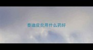 泰迪皮炎用什么药好