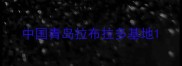 中国青岛拉布拉多基地