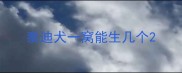 泰迪犬一窝能生几个