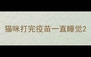 猫咪打完疫苗一直睡觉