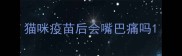 猫咪疫苗后会嘴巴痛吗