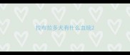 拉布拉多犬有什么血统