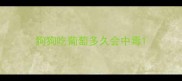 狗狗吃葡萄多久会中毒