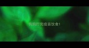 狗狗打完疫苗饮食