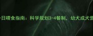 拉布拉多一日喂食指南科学规划3-4餐制幼犬成犬营养管理全