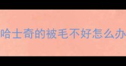 哈士奇的被毛不好怎么办