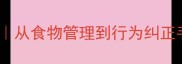 主哈士奇拆家偷吃全攻略从食物管理到行为纠正手把手教你应对拆家二哈
