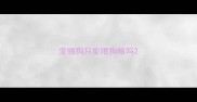 宠物狗只能喂狗粮吗