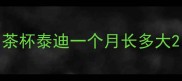 茶杯泰迪一个月长多大