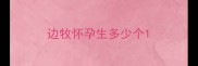 边牧怀孕生多少个