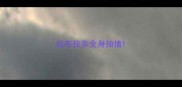 拉布拉多全身抽搐