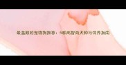 最温顺的宠物狗推荐5种高智商犬种与饲养指南