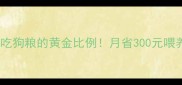 哈士奇吃狗粮的黄金比例月省300元喂养秘籍