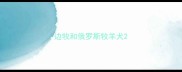 边牧和俄罗斯牧羊犬