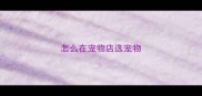 怎么在宠物店选宠物